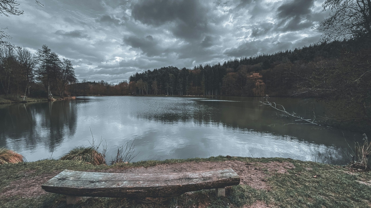 lena-denk-vO_RghTzvxE-unsplash